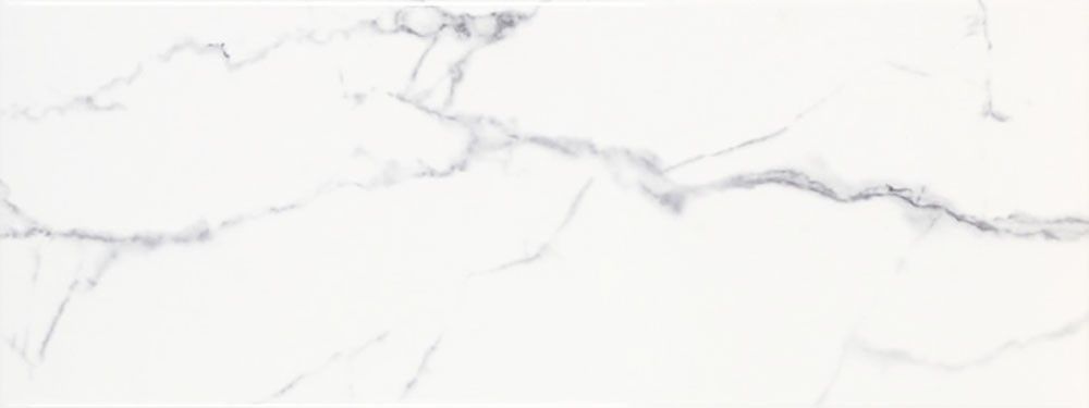 Carrara Gloss 15x40
