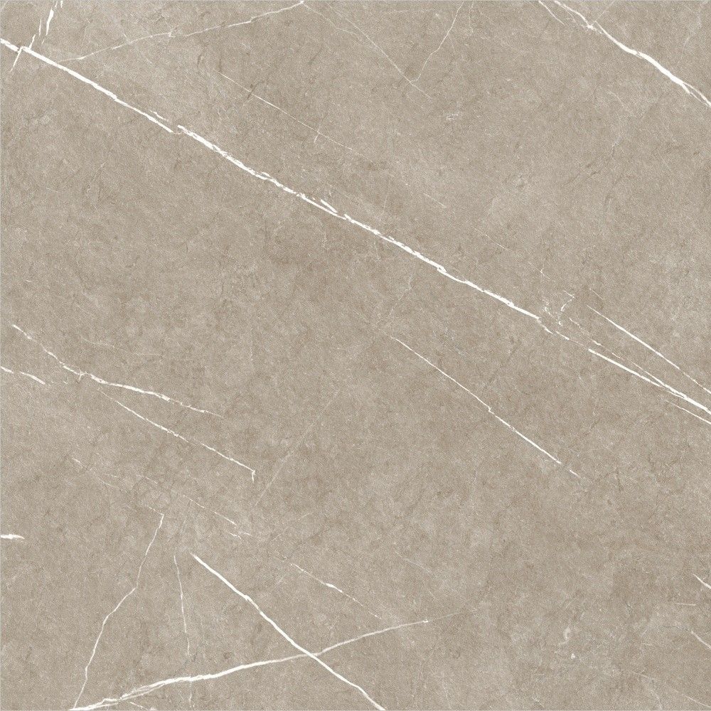 Eternal Taupe Natural Rect. 60x60
