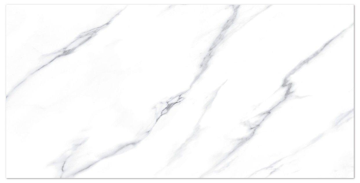 Carrara Brillo Nplus Rect. 60x120