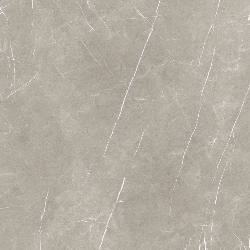 Eternal Taupe Pulido Rect. 80x80