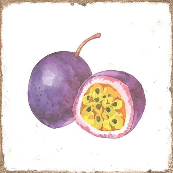 Forli Fruits Decor Mix 15x15