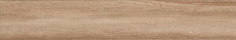 Wooden Elm Rect. 20x119.5
