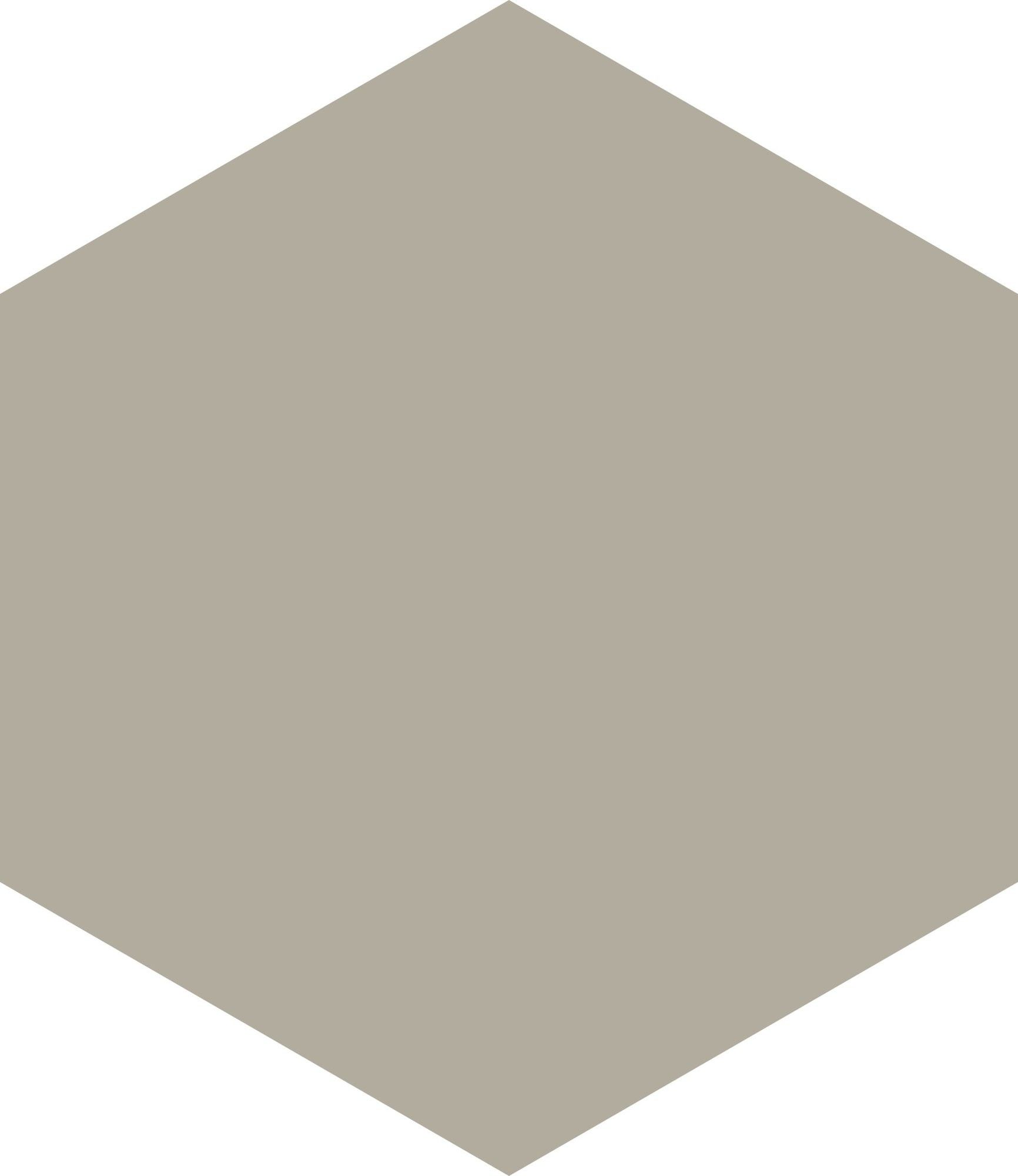 Hexagon Grey 17,5x20,2