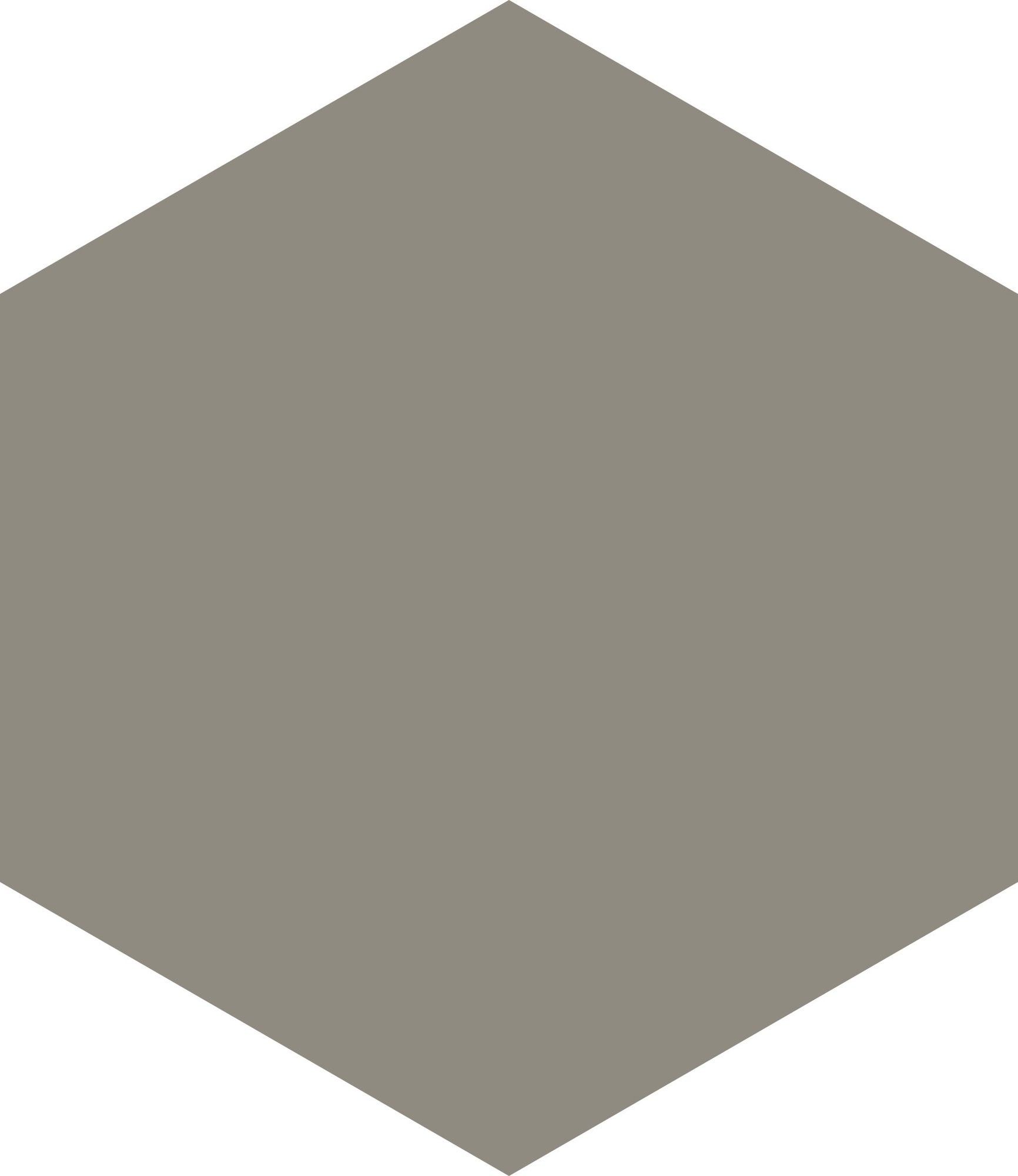 Hexagon Slategrey 17,5x20,2