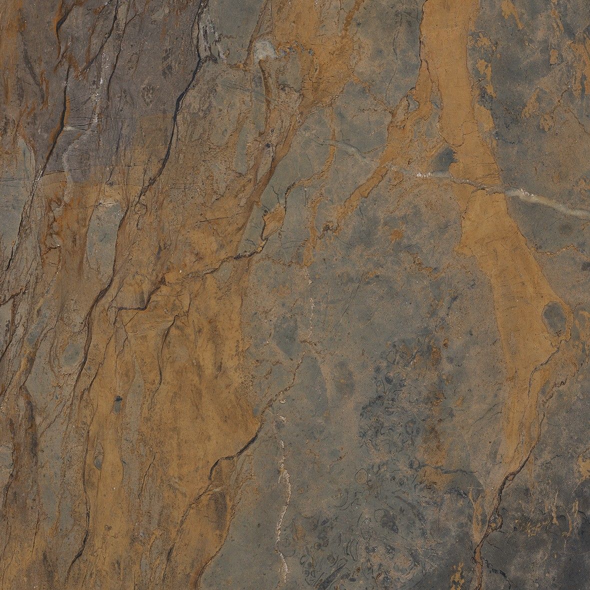 Fossil Brown Malevic Lapp. Lucido Rett. 120x120