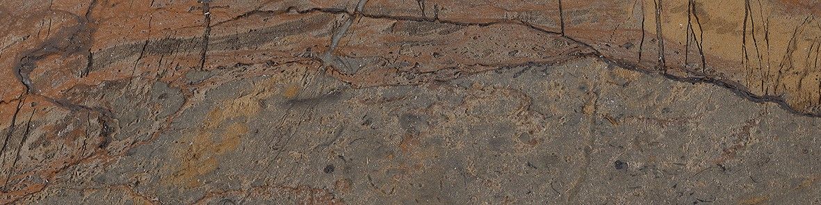 Fossil Brown Malevic Nat. Rett. 7,5x30