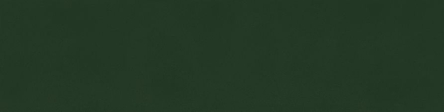 Zero Origio Green 8x31,5