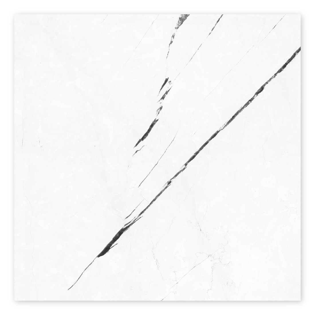 Excelsior White Polished Rect. 120x120