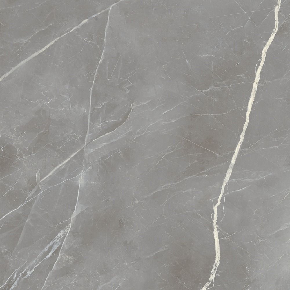 Elegance Silver Lucido Rett. 60x60