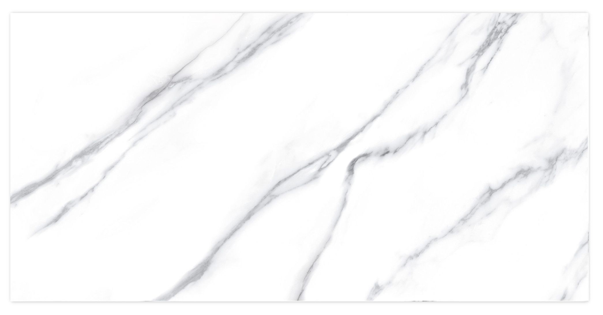 Carrara Lap. Rect. 60x120