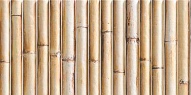 Bamboo Cream 15x30