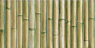 Bamboo Green 15x30