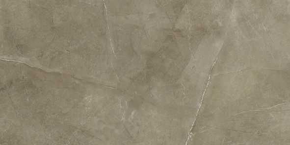 Lux Taupe Polished Rect. 60x120