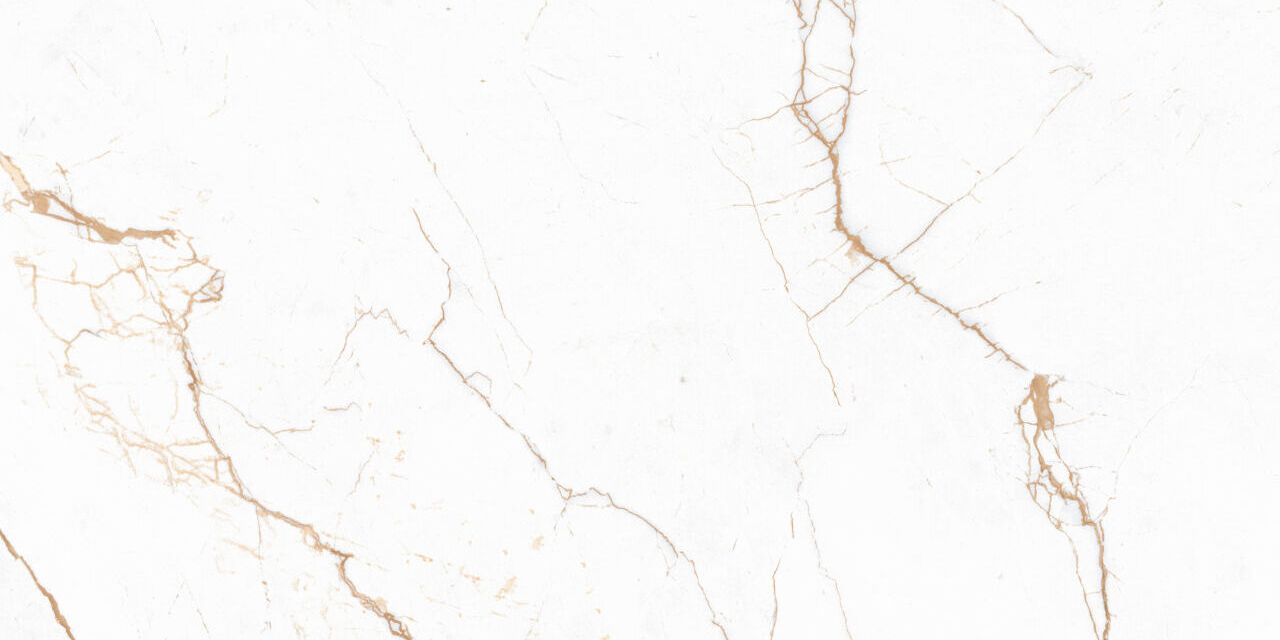 Marble Bianco Segesta Ret. 60x119,8