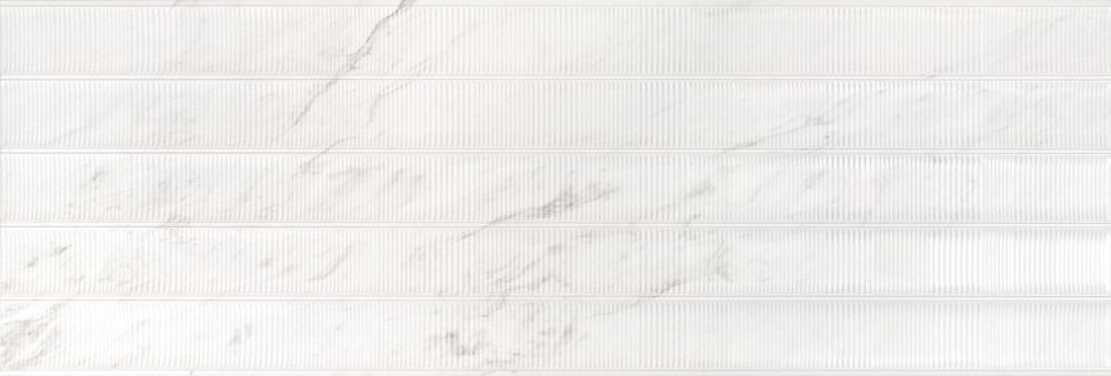 Shell Calacatta Rect. 40x120