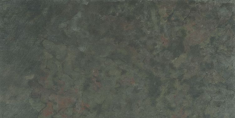 Slate Moss Outdoor 49,75x99,55 2cm