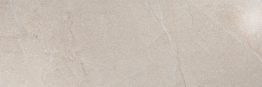Terra Beige 20x60
